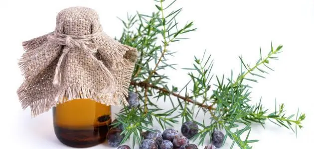 علاج الشويكة بالأعشاب مجرب