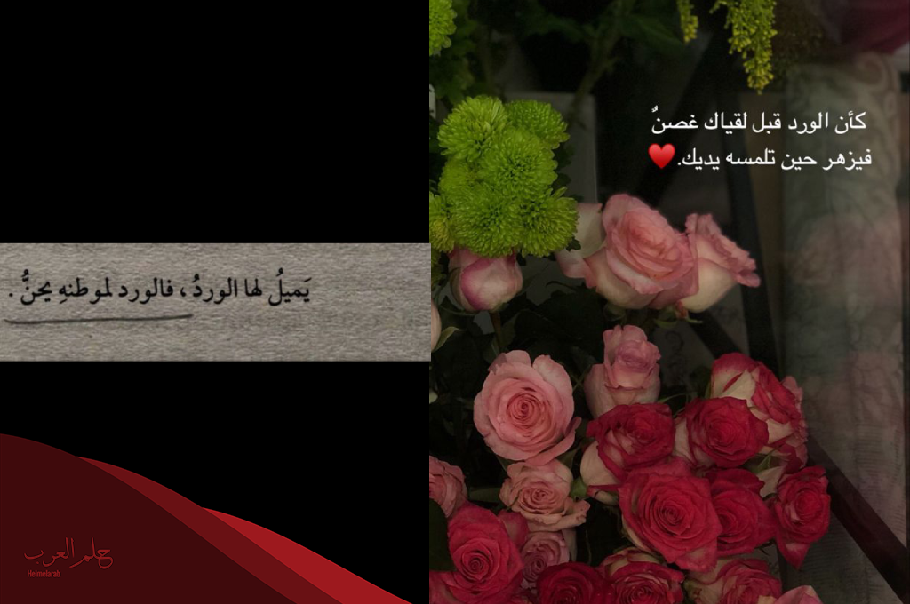 شعر عن الورد نزار قباني