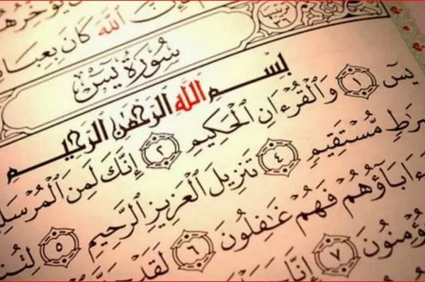 افضل شيخ يفك السحر في مكه
