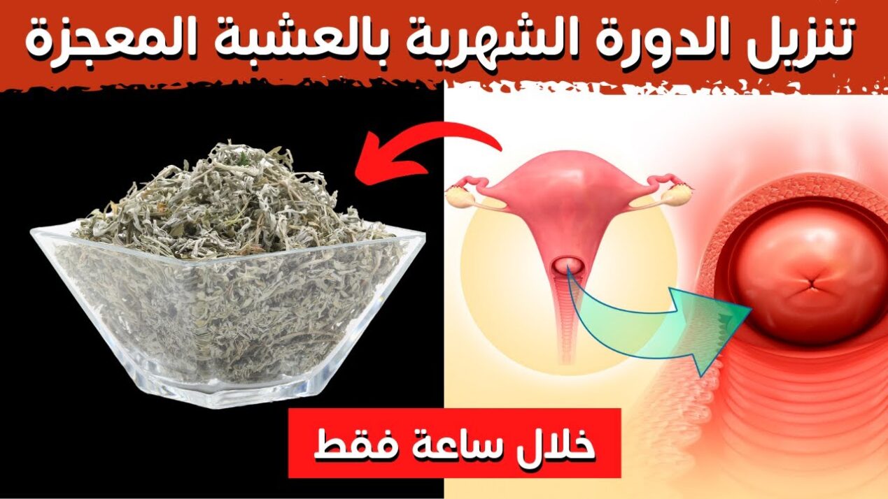 اقوى خلطة لإنزال الدورة عالم حواء