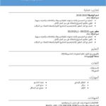 نموذج السيرة الذاتية جاهز للتعديل والطباعة pdf