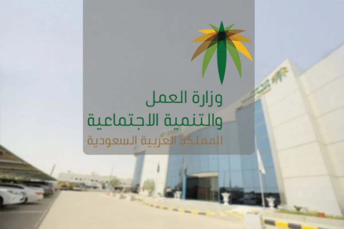 كشف استلام الرواتب الشهرية وزارة العمل pdf
