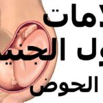 علامات نزول الجنين في الحوض للبكرية