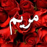 معنى اسم مريم بكل لغات العالم
