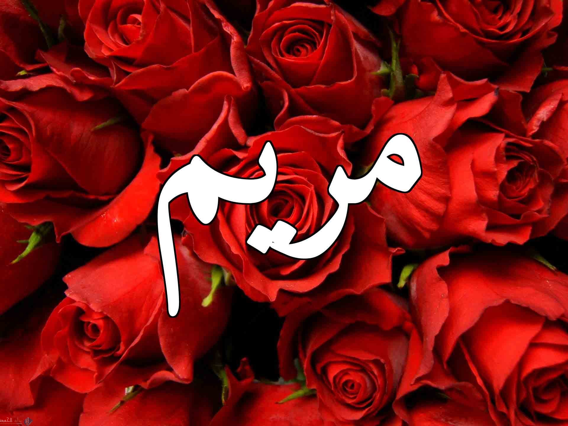معنى اسم مريم بكل لغات العالم
