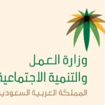 نموذج مسير رواتب عاملة منزلية جاهز pdf للطباعة والتعديل
