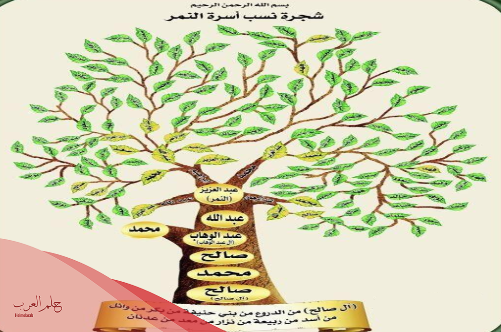 النمري وش يرجع وتفاصيل شجرة عائلة النمري