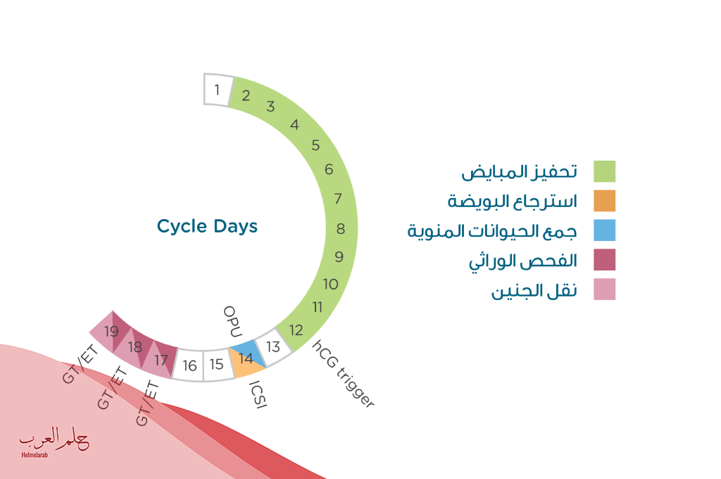 كم سعر تحليل الكروموسومات في مختبر البرج