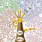 لنقل الزوار.. إطلاق حافلات ترددية جديدة بتصميمات فاخرة لنقل زوار محافظات مكة المكرمة إلى موسم جدة