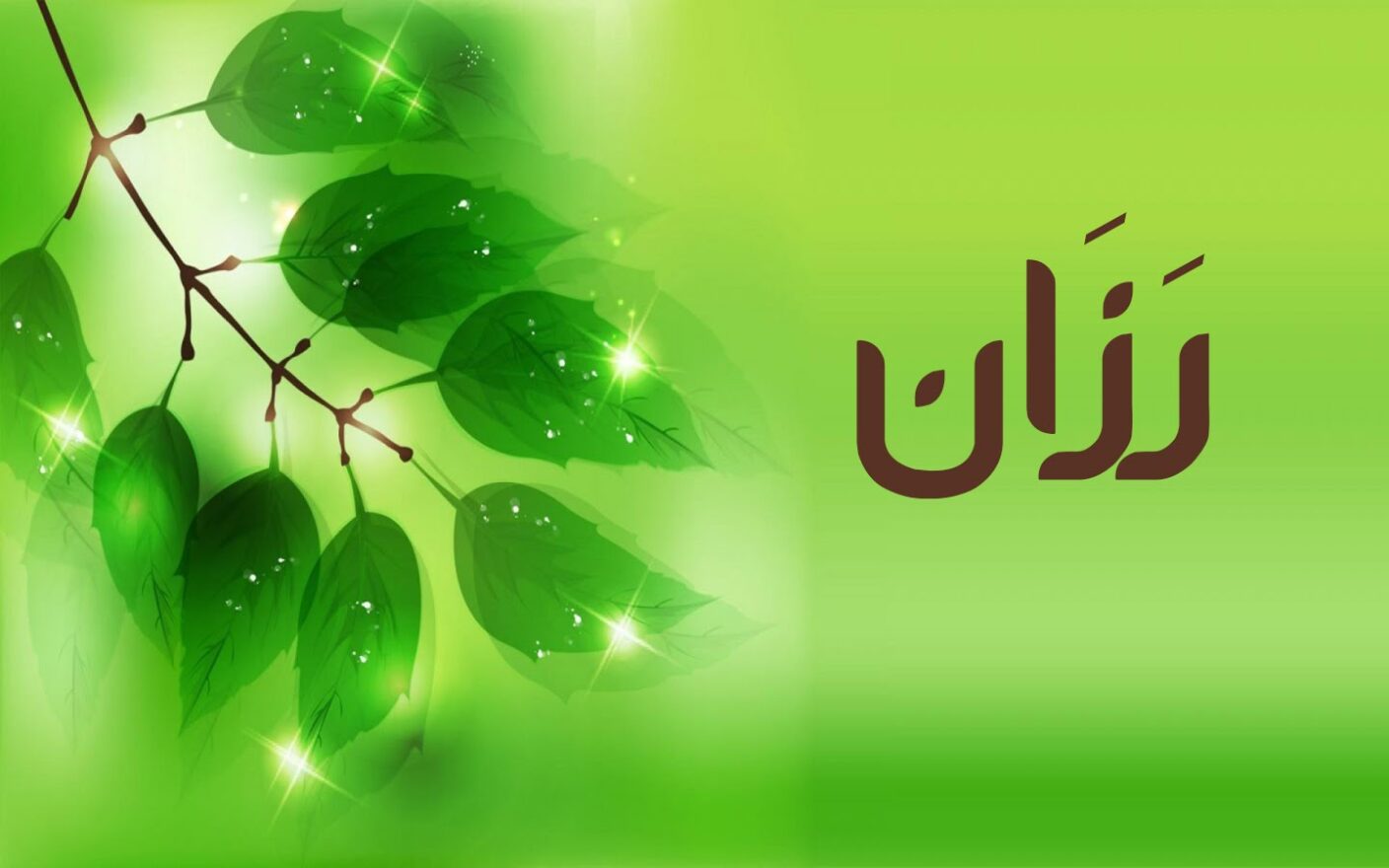 معنى اسم روزان وصفات حامل الاسم معنى اسم روزان وصفات حامل الاسم