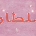 تفسير اسم سلطان في المنام لجميع المفسرين