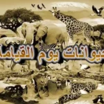 هل الحيوان يشفع لصاحبه