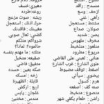 مصطلحات اهل الجنوب ومعانيها