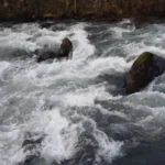 تفسير حلم السيل مع الوادي لابن سيرين والإمام الصادق
