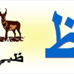 اسم حيوان بحرف ظ الظاء