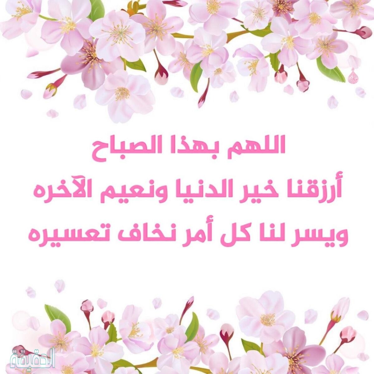 اجمل دعاء في العالم نادر جدا