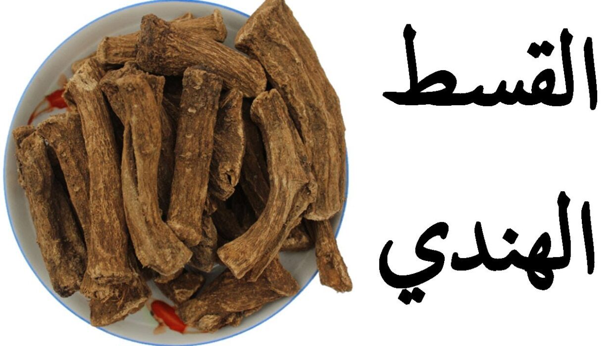 قصتي مع القسط الهندي