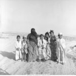 شجرة الحويطات صلب
