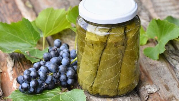 مين جربت ورق عنب السوسن