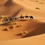 اللقماني وش يرجعون