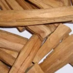 الطلح السوداني جابر القحطاني