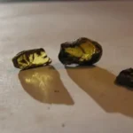 العنبر للتسمين جابر القحطاني