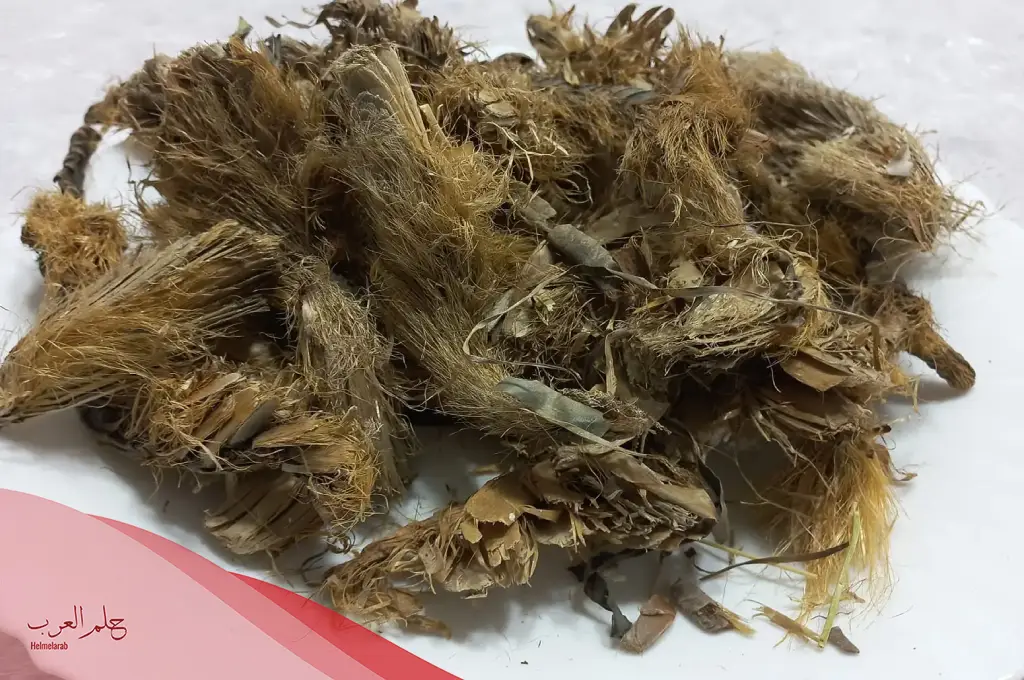 عشبة رجل الاسد جابر القحطاني
