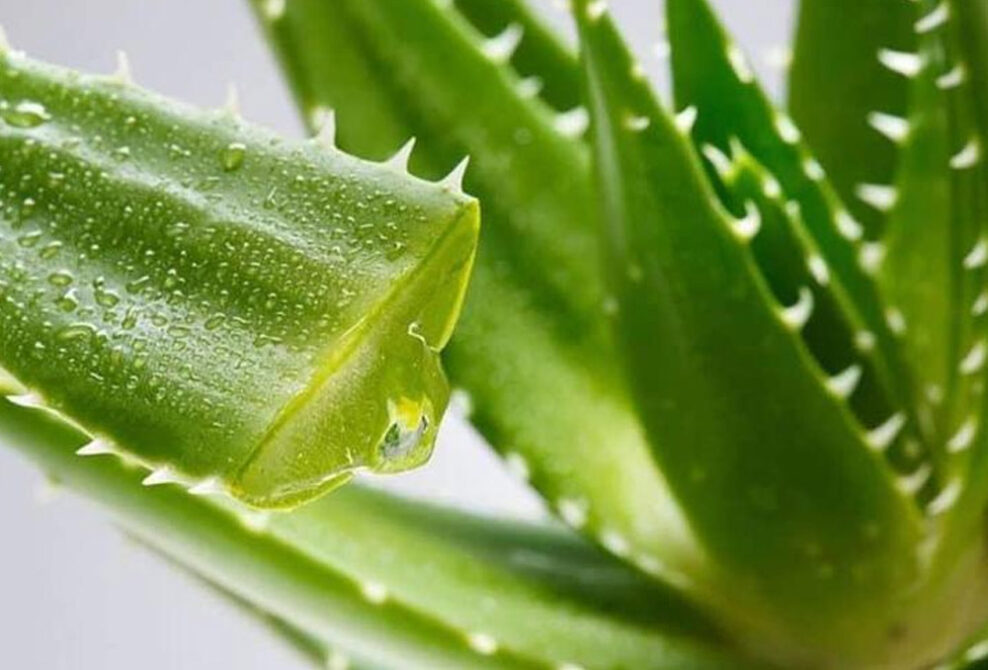 طرق علاج كيس الماء في القدم