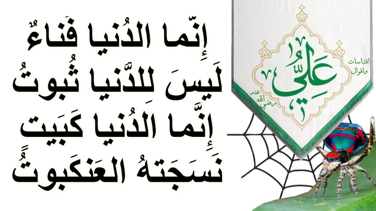 اقوال الامام علي عن الكلام الجارح