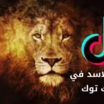 كم سعر الاسد في التيك توك جميع الدول العربية