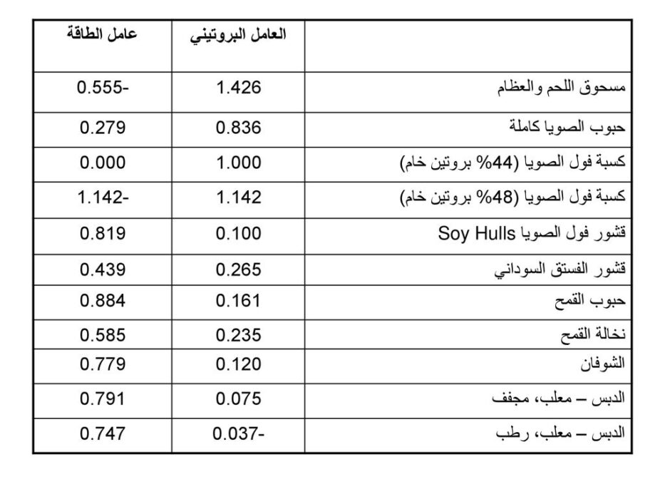 هل الفول يحتوي على بروتين وكم عدد من البروتين