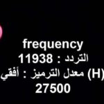 على قائمتها الطب.. قائمة الجامعات الأهلية المعتمدة في مصر 2024