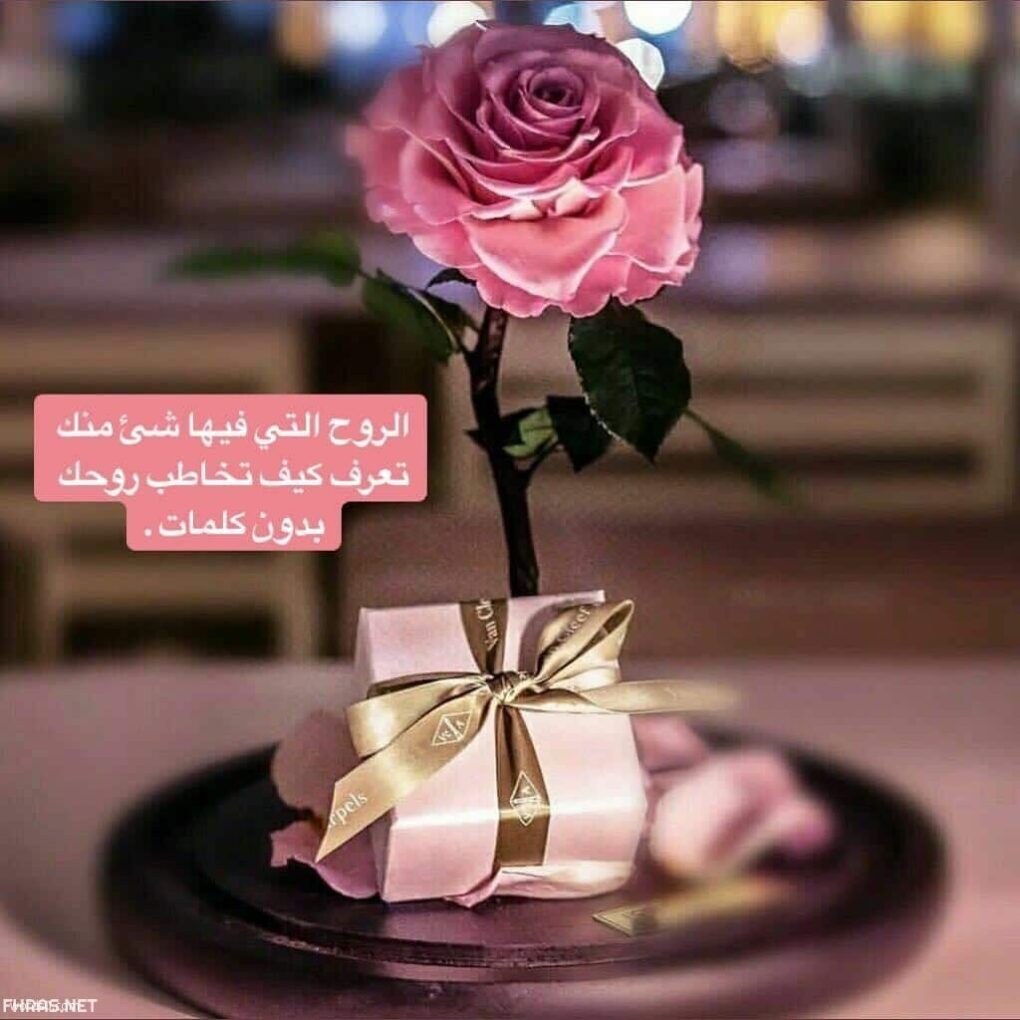 صباح الخير شعر روعه