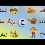 كلمة فيها حرف الحاء والخاء معًا