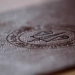 أمانة جدة.. الكشف عن حقيقة عودة الهدد في المناطق العشوائية