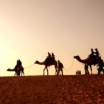 القصبي وش يرجع .. اصل عائلة القصبي