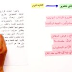 نموذج كتابة تقرير جامعي جاهز للطباعة