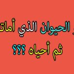 ماهو الحيوان الذي اماته الله ثم احياه