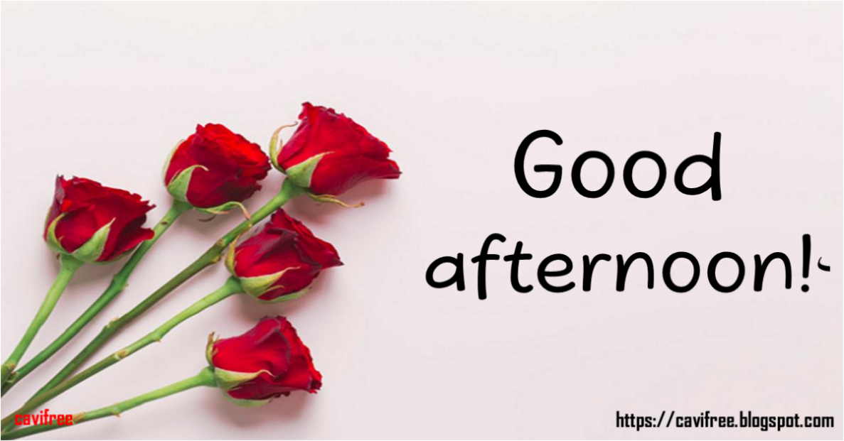 متى تقال good afternoon