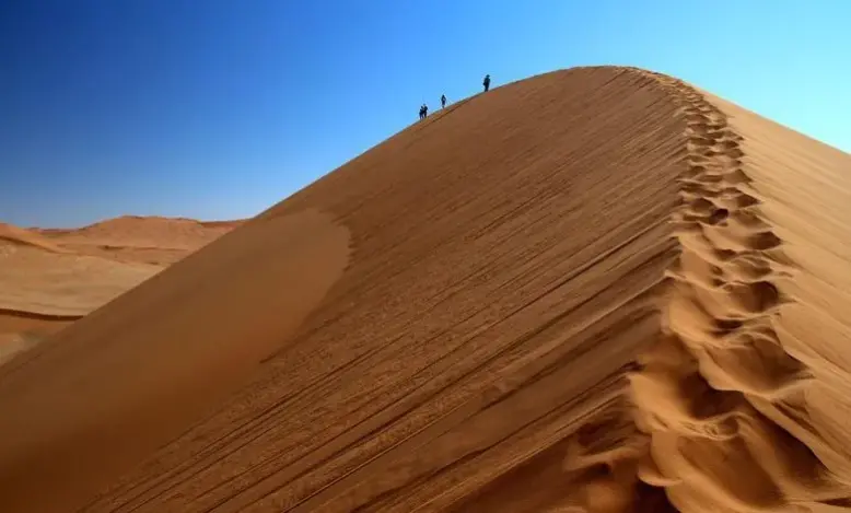 القصبي وش يرجع .. اصل عائلة القصبي