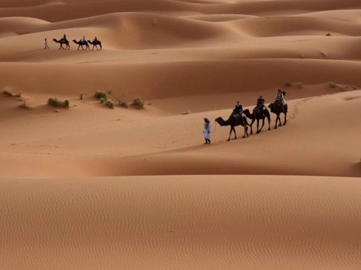 الجلعود وش يرجعون اصلهم ونسبهم من وين