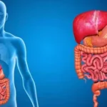 افضل دكتور جهاز هضمي في الخبر