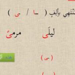 كلمات تنتهي بألف ممدودة
