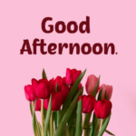 متى تقال good afternoon