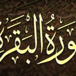 سورة البقرة كم جزء