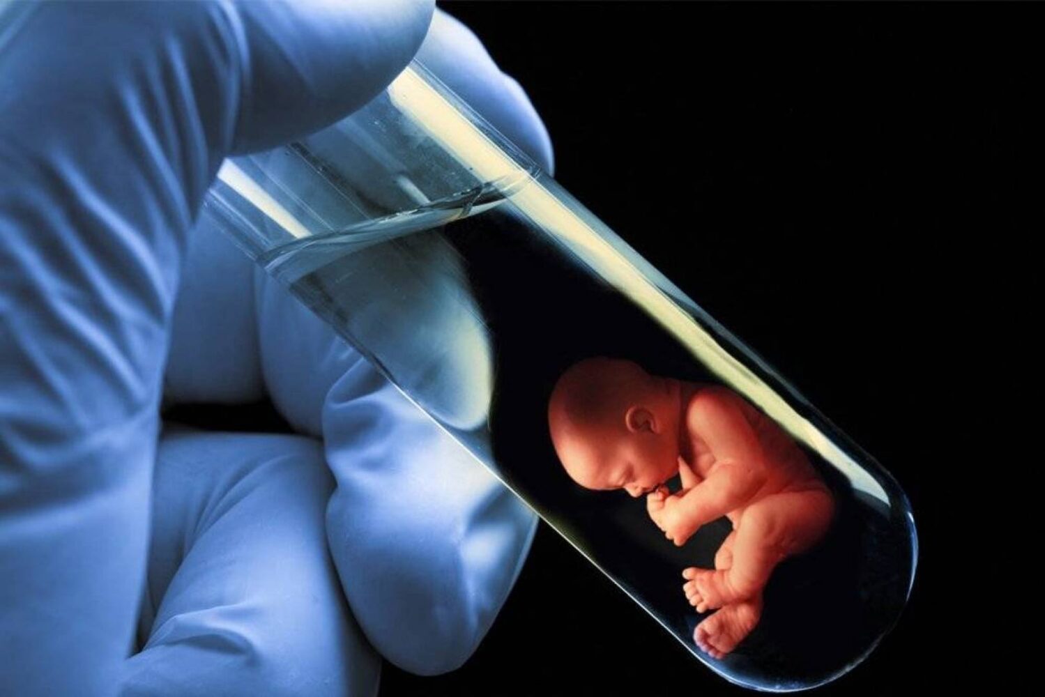 أعراض اليوم الثامن من ترجيع الاجنة