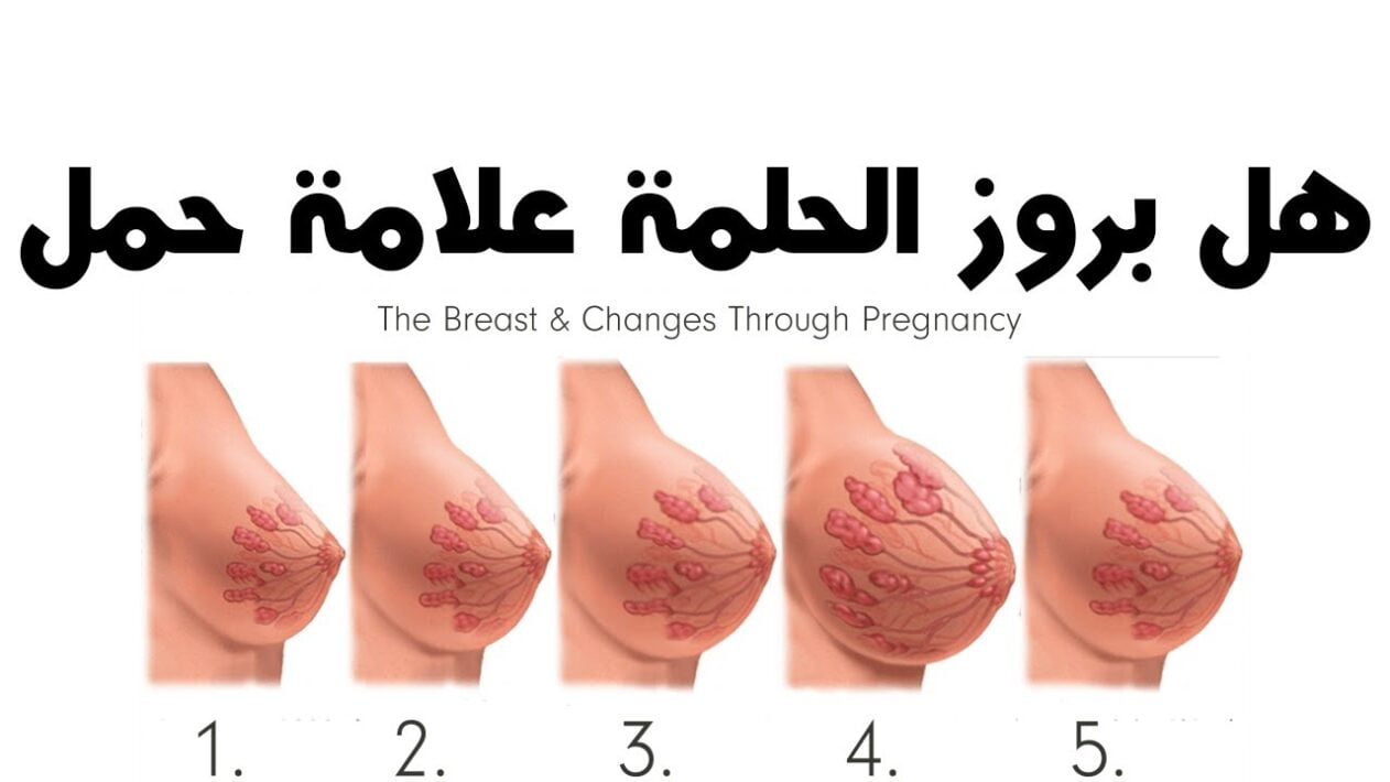 هل طراوة الثدي من علامات الحمل