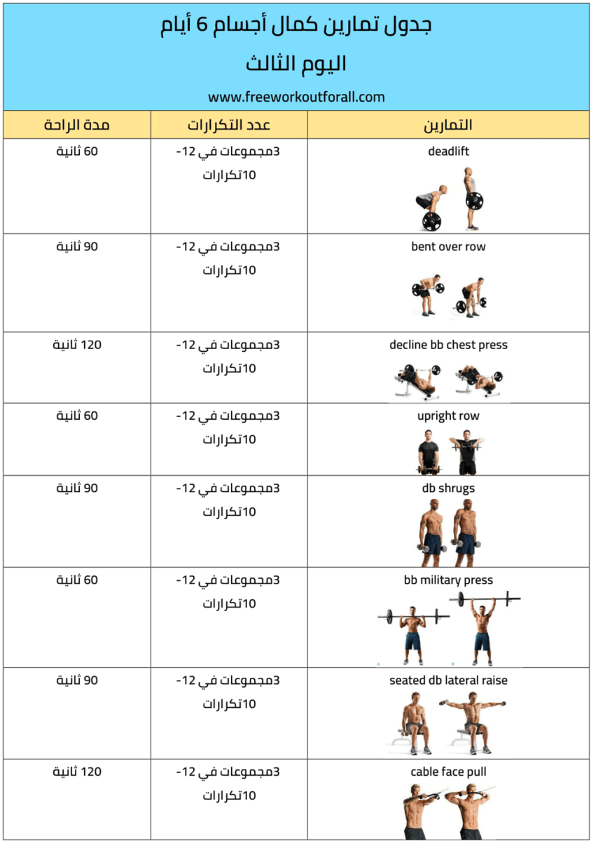 جدول تمارين حديد للنساء بدون تعب