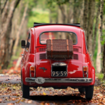 تفسير حلم الذهاب مع الميت في السيارة