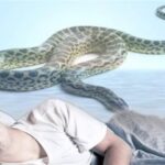 تفسير حلم لدغة الثعبان لشخص آخر